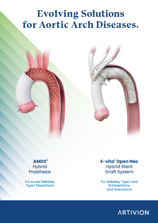 AMDS Algorythm folder