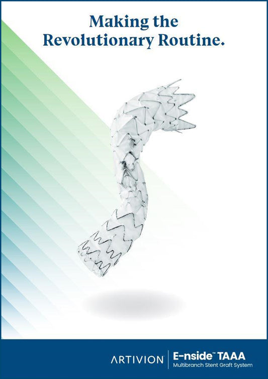 E-nside Brochure, English